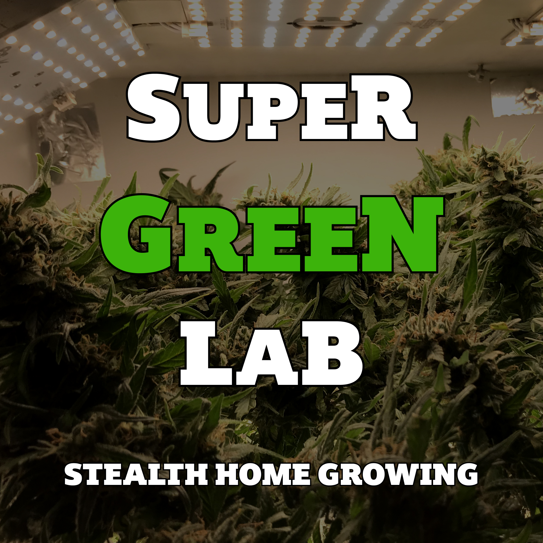 SuperGreenLab - Automated LED Grow Lights for ninja growers